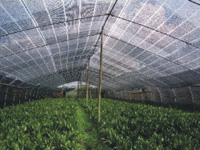 农用遮阳网